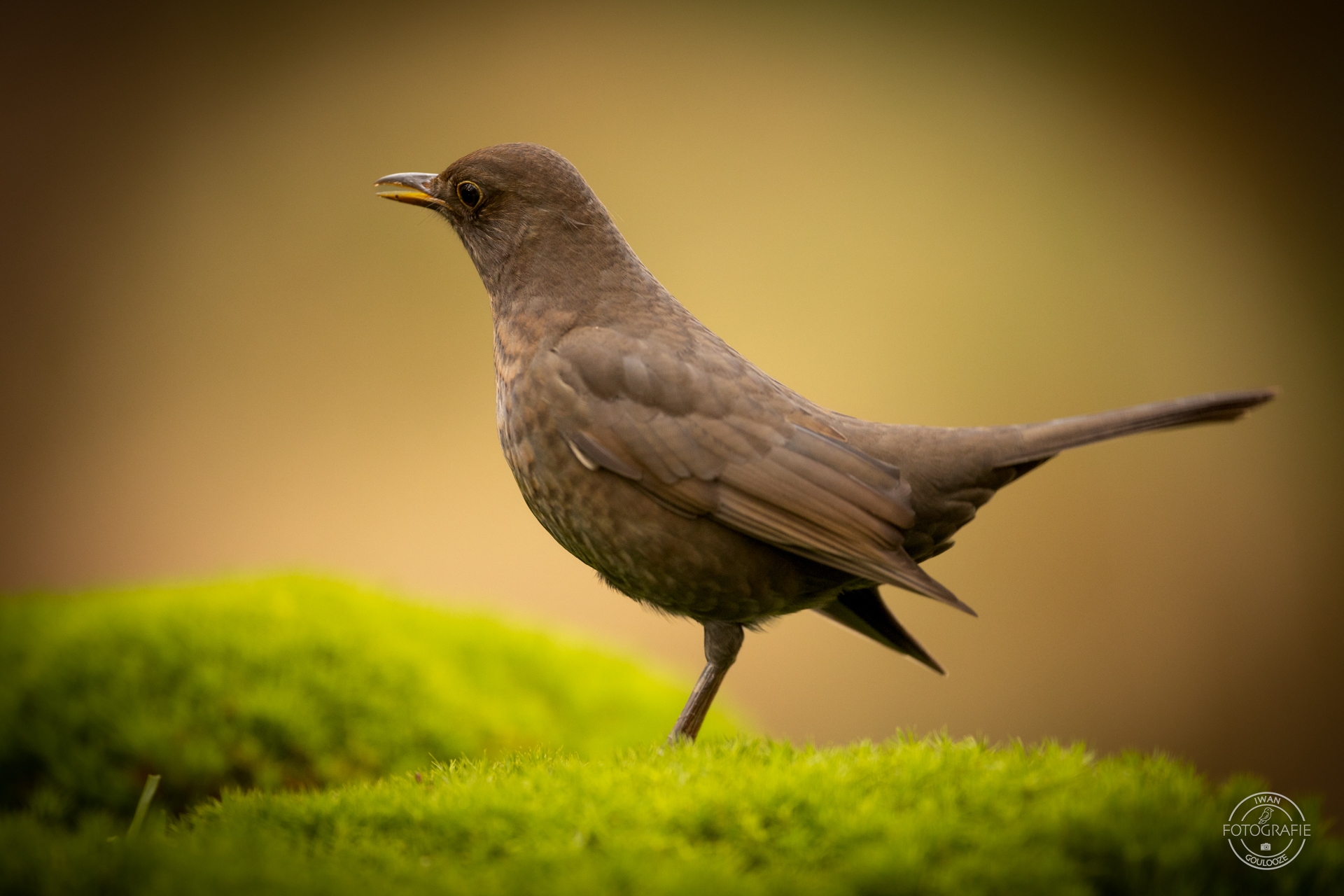 23 oktober 2022 161528 1R2A1634